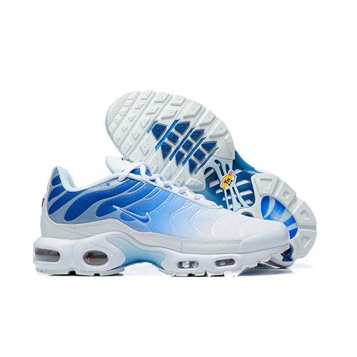 Air Max Tn 1 “Blue Fade”