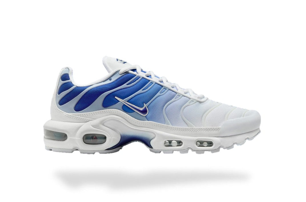 Air Max Tn 1 “Blue Fade”