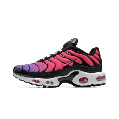 Air Max Tn 1 “Dusk”