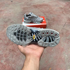 Air Max Tn 1 “Triple Silver”