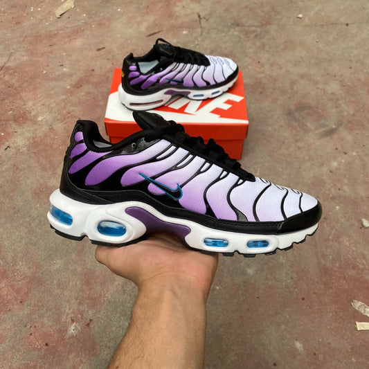 Air Max Tn 1 “ Reverse Grape”